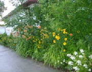 dsc00546.jpg