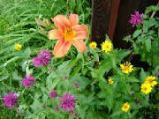 dsc00561.jpg