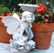 fairy.jpg
