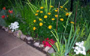 garden004.jpg