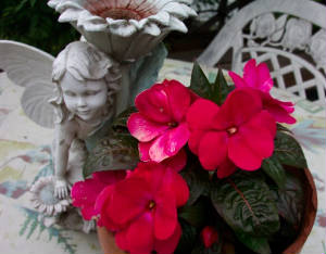 gardenfairies.jpg