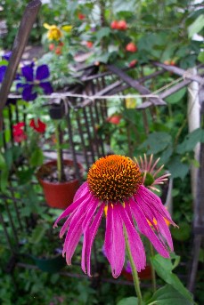 100_2116.jpg