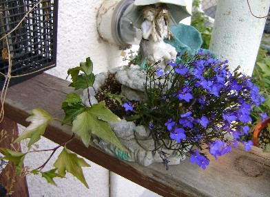 dsc00287.jpg